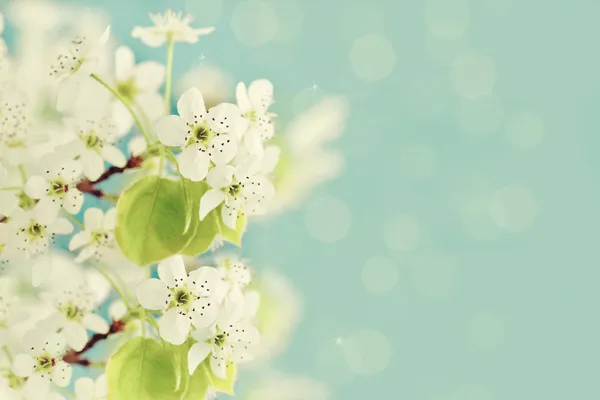 Mind-body approach to therapy for PTSD and anxiety relief