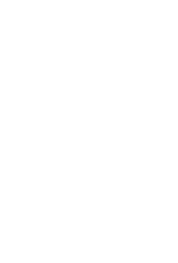 plant Customized therapy plans based on holistic principles